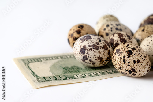 quail eggs and money on white background for sale to client. Business of quail breeding, poultry farming. Healthy food, buying eggs for Easter holiday