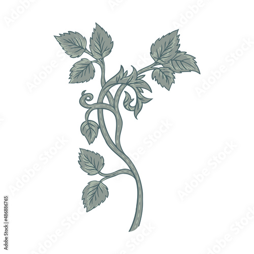 Floral vintage element. Enchanted Vintage Flowers. Arts and Crafts movement inspired. Vector design element. Isolated on white.