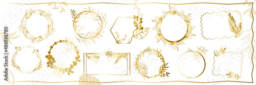 Set of floral frames with different grasses, ferns and leaves. Flower wreaths with ornaments and gold glitter effects. Element design. Vector illustration. Flora. Gold.