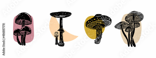 Mushrooms. Hand drawn trendy Vector illustration. Perfect For your own decoration or design. Poster templates