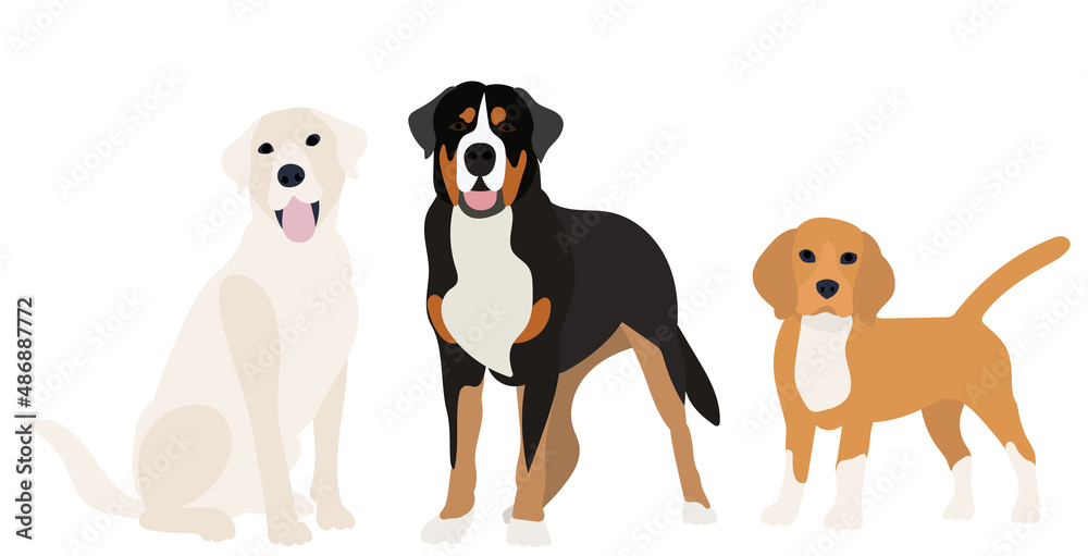 Obraz premium dogs flat design on white background, vector
