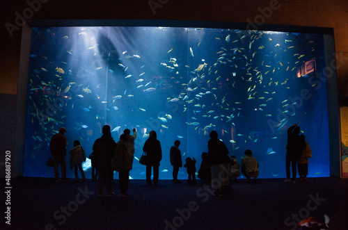 水族館