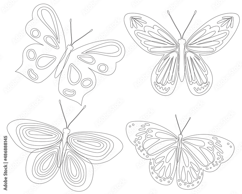 butterfly outline on white background butterfly outline on white background