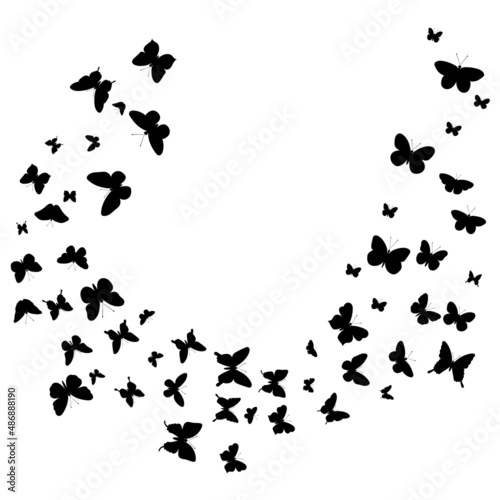 flying butterflies on a black silhouette background, isolated vector