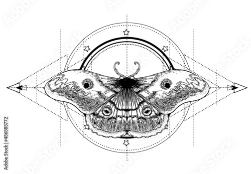 Black and white moth over sacred geometry sign, isolated vector illustration....