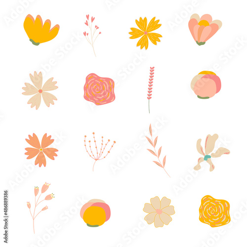 Set of flowers and leaves isolated on white background