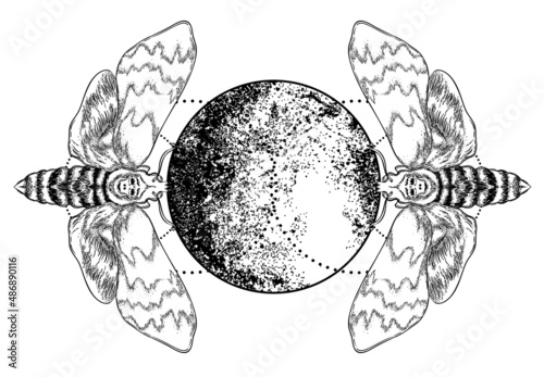 Black and white moth over sacred geometry sign, isolated vector illustration....