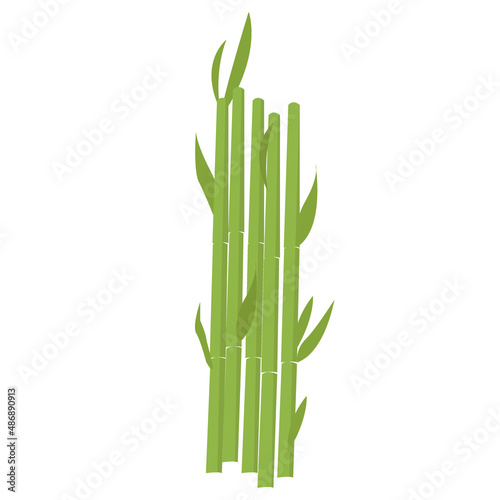 Bamboo in flat style isolated on white background