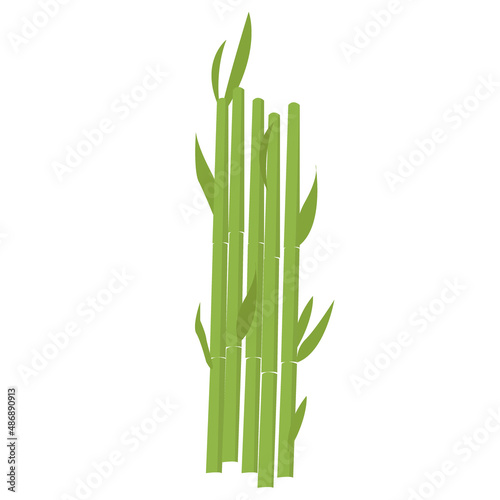 Fototapeta Naklejka Na Ścianę i Meble -  Bamboo in flat style isolated on white background