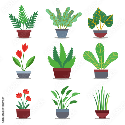 type of decoration plants. vector illustration cartoon style