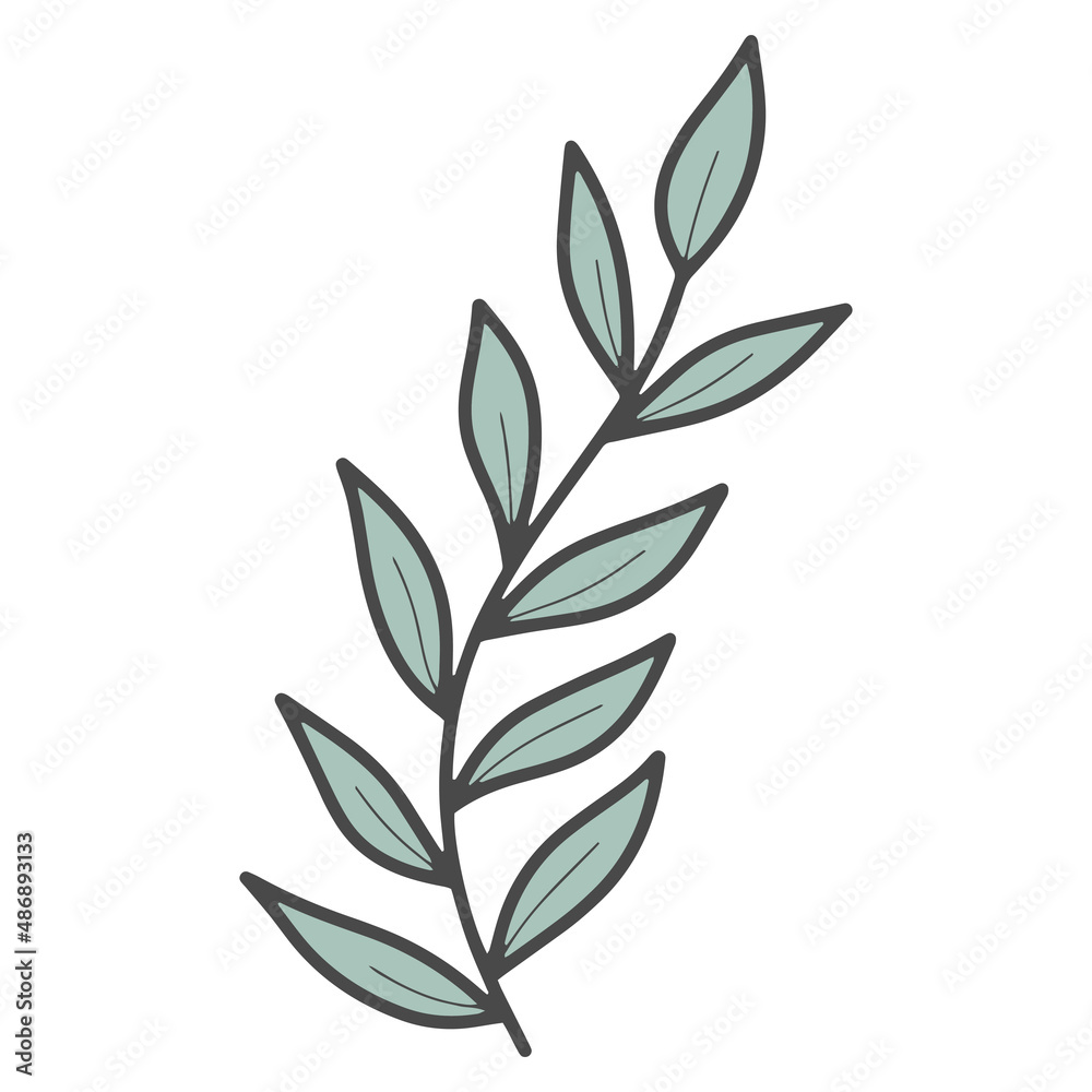 Vector doodle plant branch with leaves isolated Vector doodle plant branch with leaves isolated