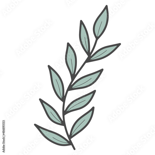 Vector doodle plant branch with leaves isolated