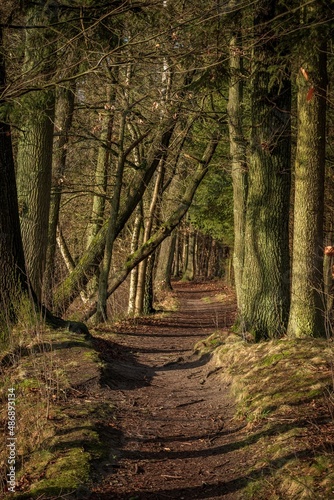 Lüneburger Heide