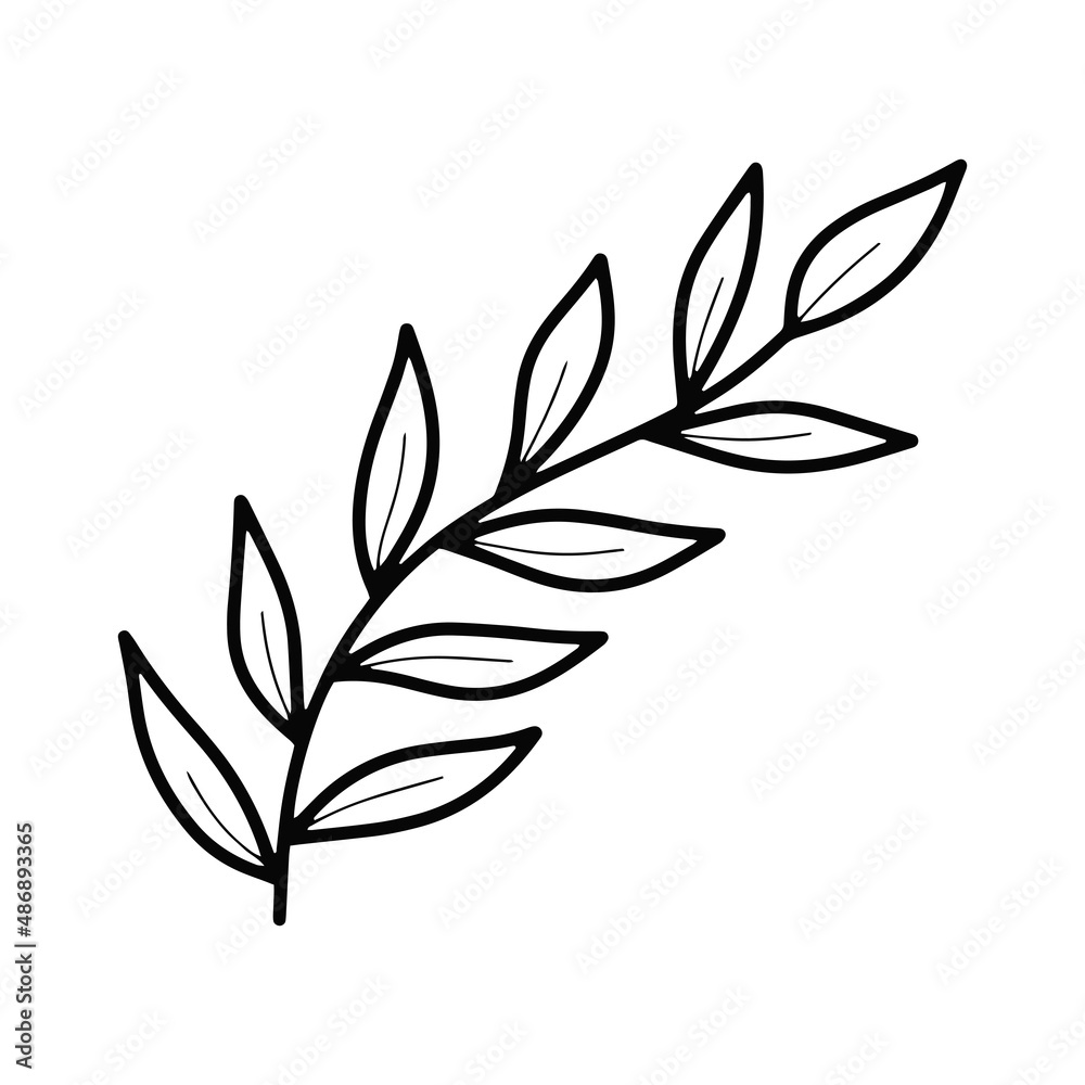 Vector doodle plant branch with leaves isolated. Vector doodle plant branch with leaves isolated.