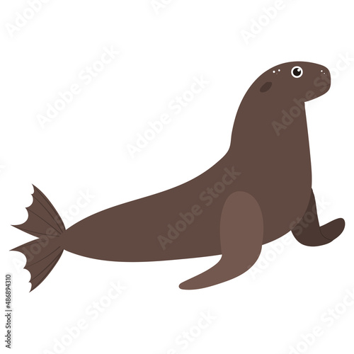 Beautiful cartoon illustration with colorful sea lion on white background for print design. Kid graphic. Sea underwater life. Vector isolated hand drawing.