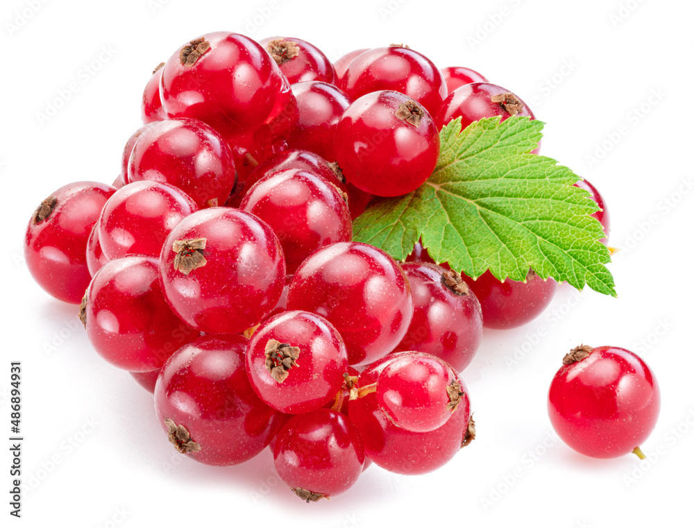 Ripe redcurrant berries on white background. Close-up. Ripe redcurrant berries on white background. Close-up.