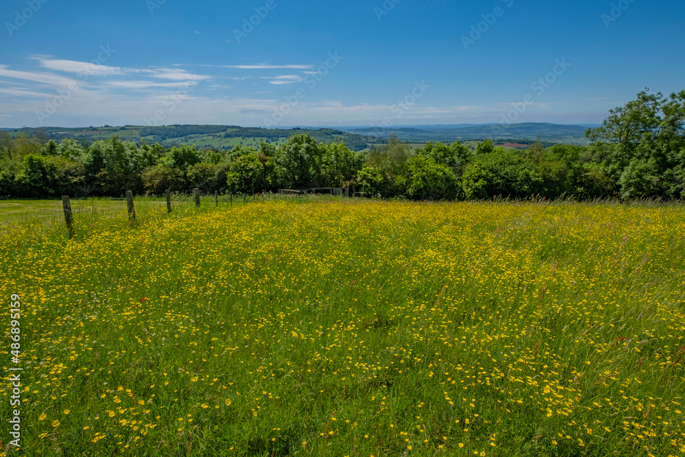 cotswold landscape england uk