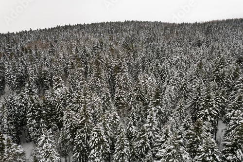 Fototapeta Naklejka Na Ścianę i Meble -  Zimowy widok na pokryte śniegiem góry, Beskid Niski i Beskid Sądecki