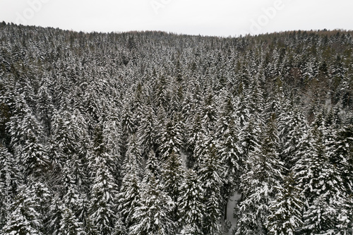 Fototapeta Naklejka Na Ścianę i Meble -  Zimowy widok na pokryte śniegiem góry, Beskid Niski i Beskid Sądecki