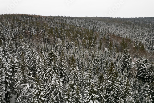 Fototapeta Naklejka Na Ścianę i Meble -  Zimowy widok na pokryte śniegiem góry, Beskid Niski i Beskid Sądecki