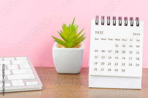 June 2022 desk calendar with plant on wooden table.