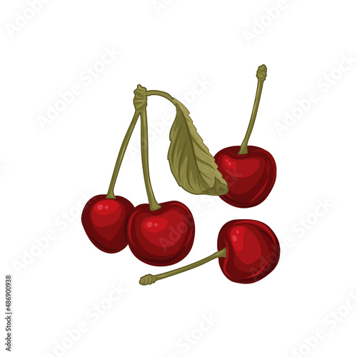 Cherry sketch vector illustration.