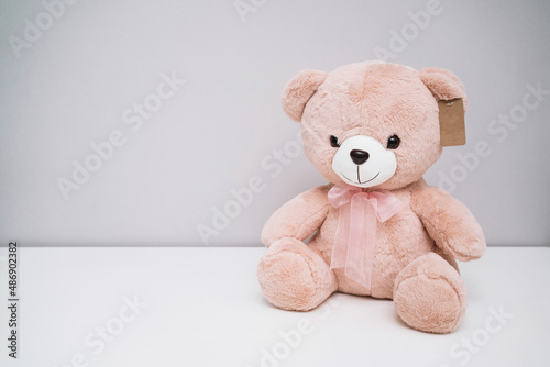 Cute pink teddy bear. A place to write about toys. mocap labels for children's toys