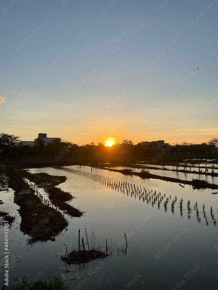 Naklejka premium sunset over the river