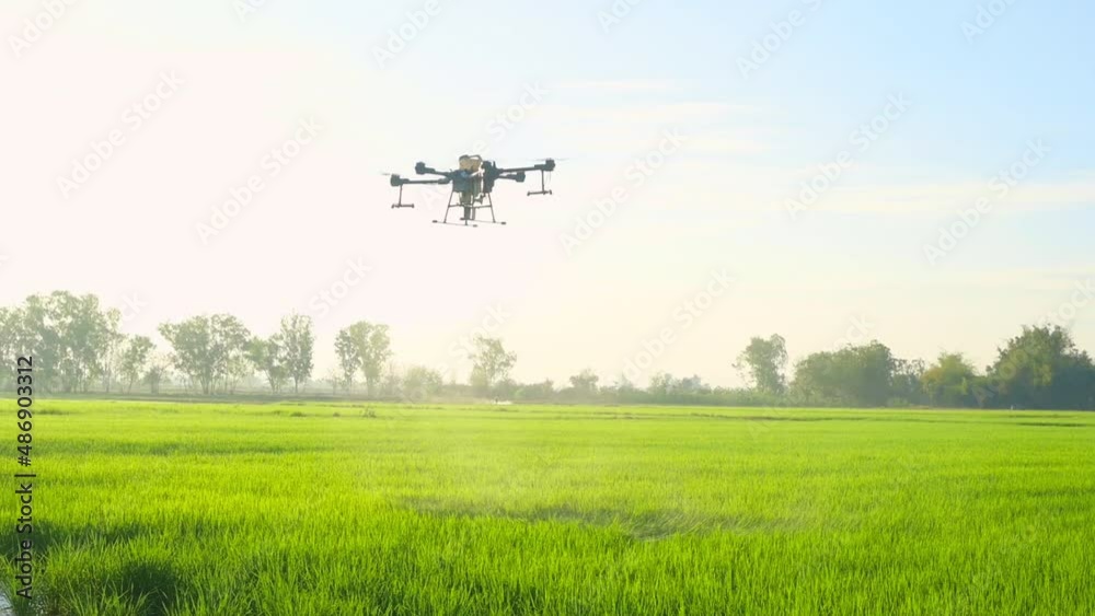 Agriculture drone flying and spraying fertilizer and pesticide over farmland,High technology innovations and smart farming Agriculture drone flying and spraying fertilizer and pesticide over farmland,High technology innovations and smart farming