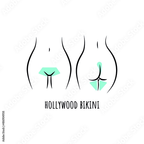 Hair removal bikini area line art. Hollywood bikini scheme. Vector