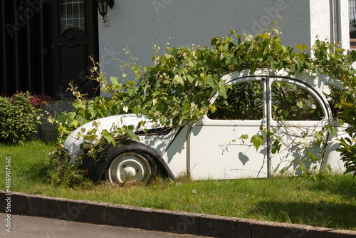 old car full with plants photo