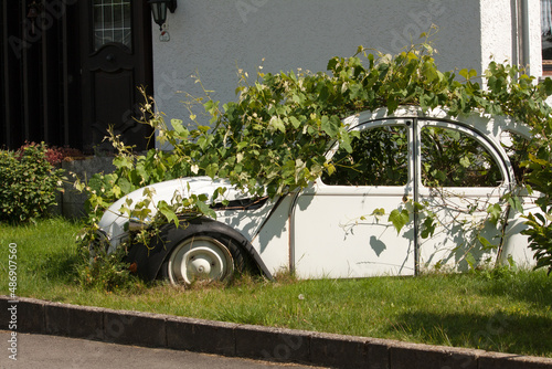 Quadro su tela old car full with plants