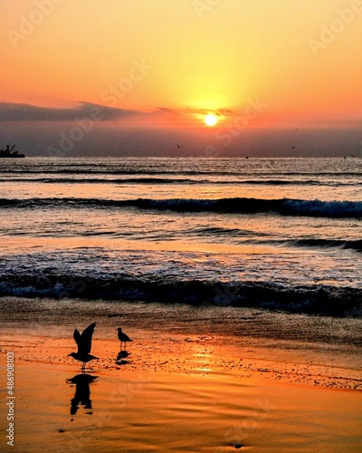 sunset on the beach © patricio