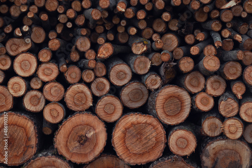A closeup shot of a firewood by autumn day