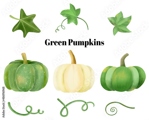 Green Pumpkins vines and leaves watercolor collection