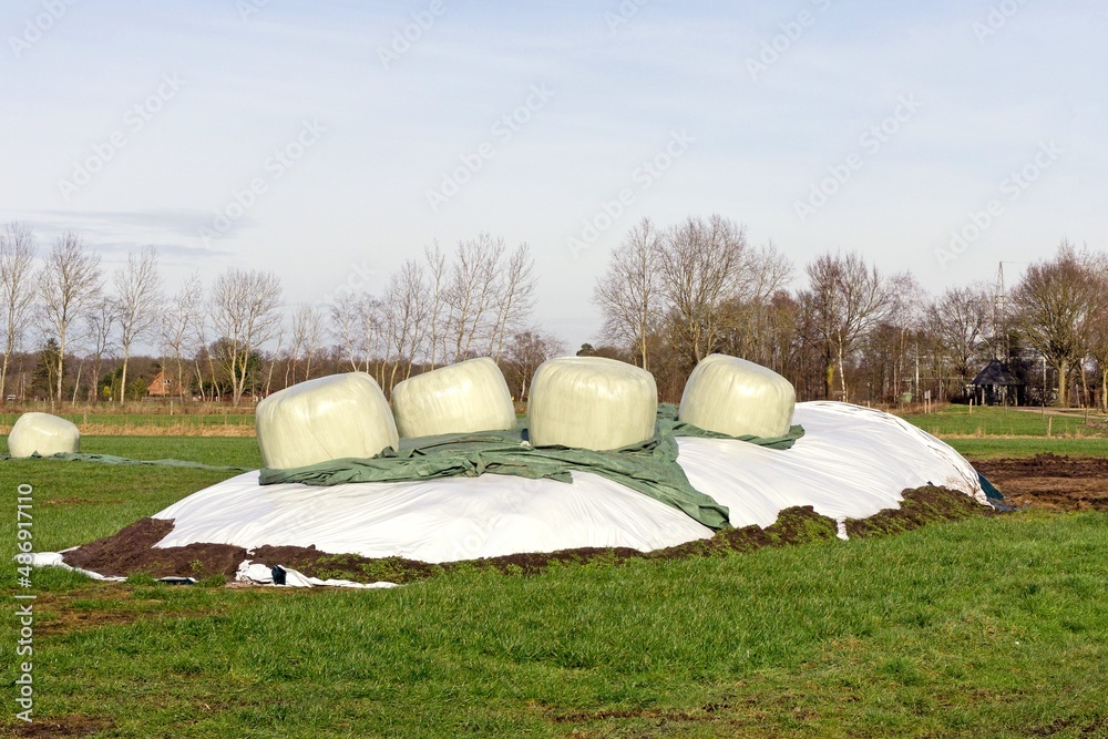 Round plastic wrapped bales of hay sitting on a heap of cattle winter feed in a field