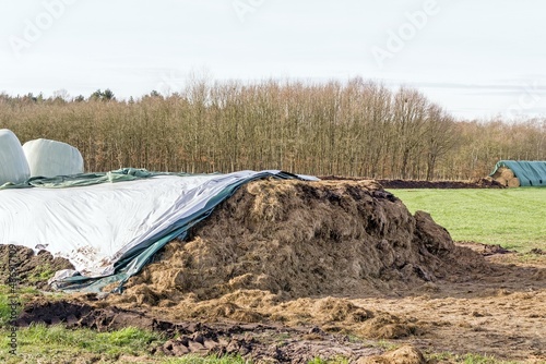A pile of winter feed silage for cattle in a field partially covered with a plastic waterproof tarpaulin  photo