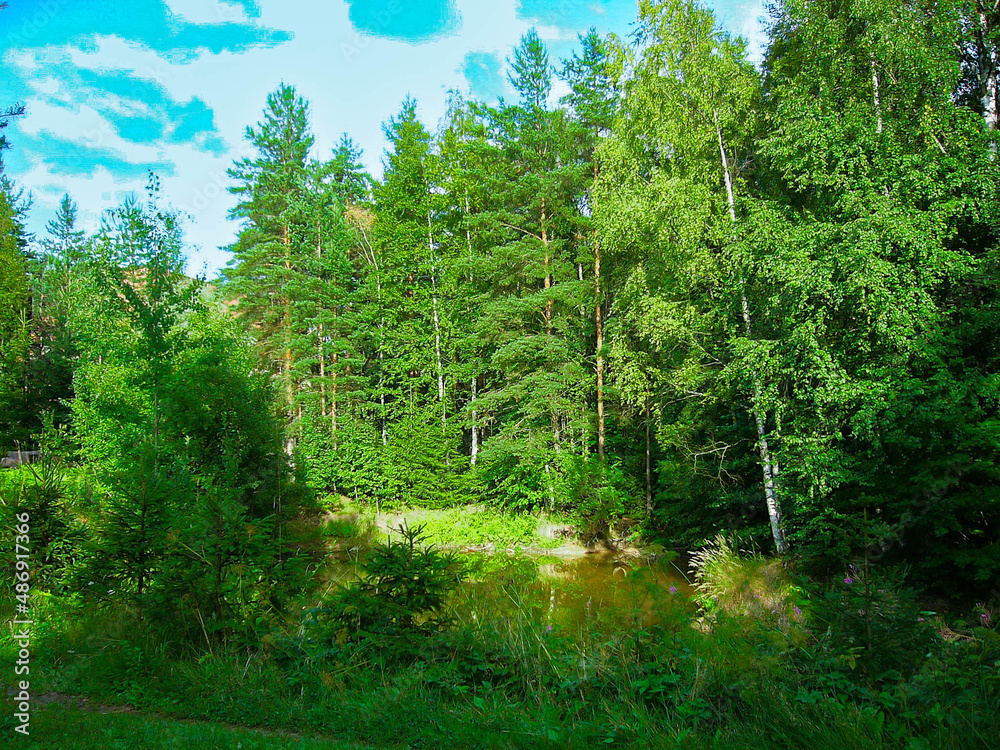 Fototapeta premium Small beautiful forest with lake and blue sky.