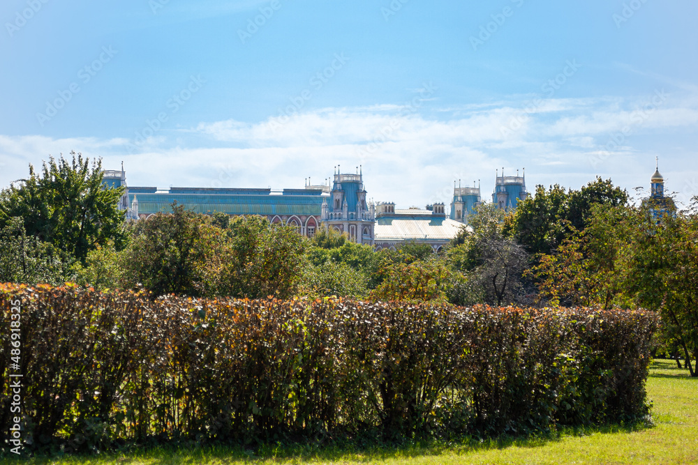 Fototapeta premium Fresh bushes and trees with green leaves on the grand palace in Tsaritsyno and blue sky background. Sunny summer day in a park 