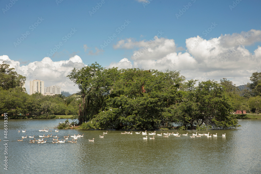 parque natureza lago patos 