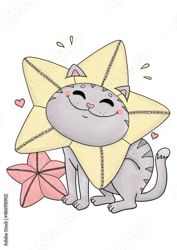 Funny grey cat with star shape pillow, crochet