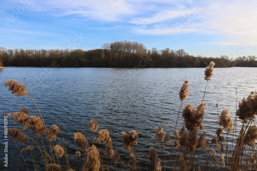 Lac du Héron, Villeneuve d'Ascq, Lille, Nord de la France photo