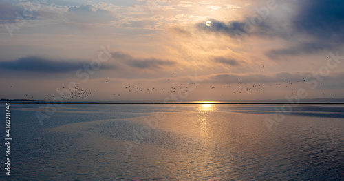 Fototapeta Naklejka Na Ścianę i Meble -  Sonnenaufgang mit Vogelschwarm