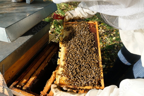 FU 2020-10-31 BienenHelmut 40 Auf der Bienenwabe sind viele Bienen