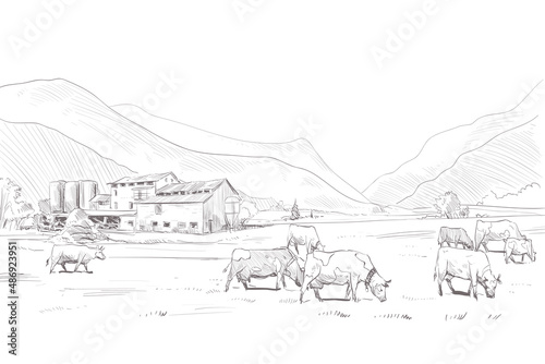 Rural landscape. Farm sketch. Vector illustration. Hand drawn image.