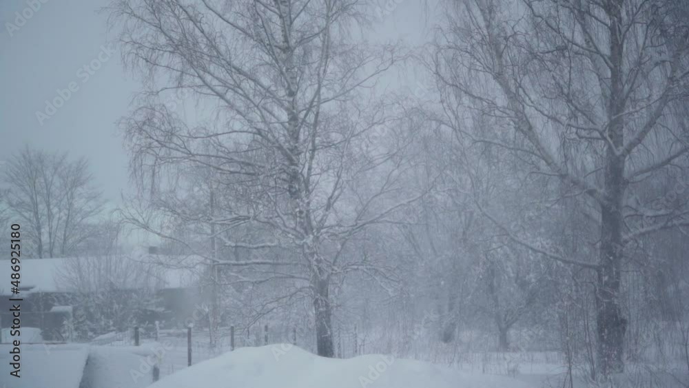 Beautiful snow landscape. Winter trees panorama. Sunset. Slow motion. Beautiful snow landscape. Winter trees panorama. Sunset. Slow motion.