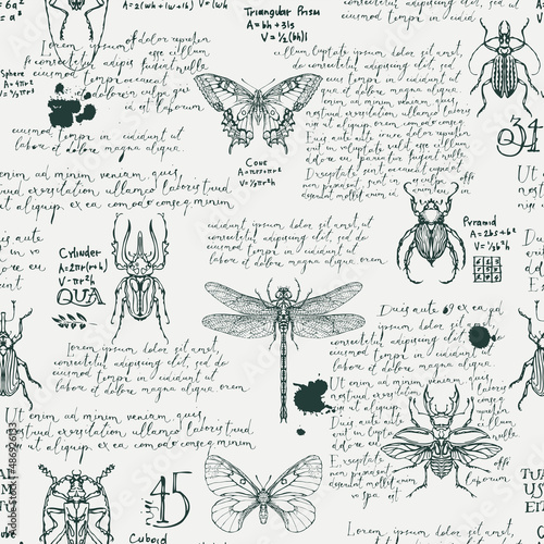 Monochrome seamless pattern with handwritten text Lorem Ipsum and hand-drawn insects. Vector background with butterflies, beetles, dragonfly on an old paper backdrop. Wallpaper, wrapping paper, fabric