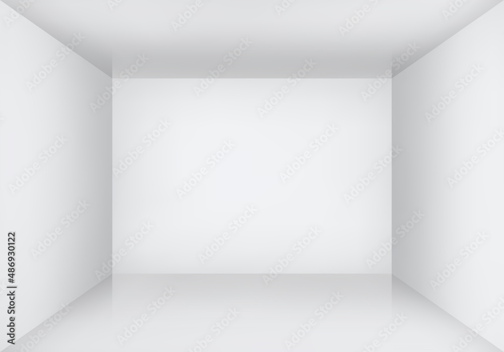 Empty room or studio with white walls. Box without interior background. Blank space for design. Vector illustration.