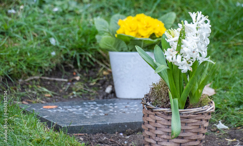 Close and selective focus on pretty flowers on a gravestone in a small cemetery