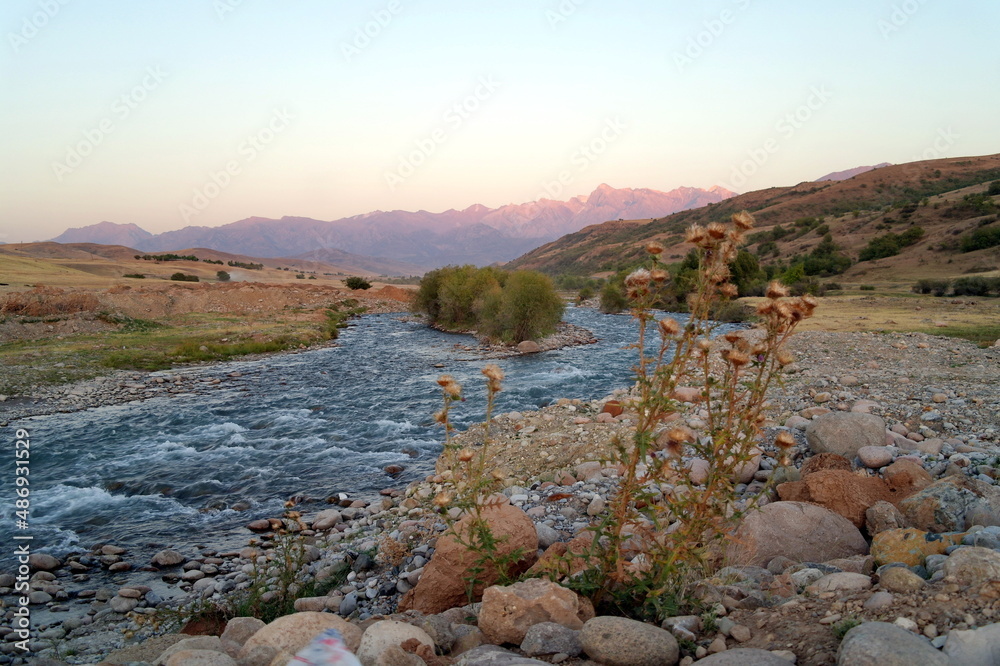 Obraz premium river in the mountains